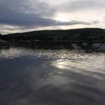 Evening Sunlight
